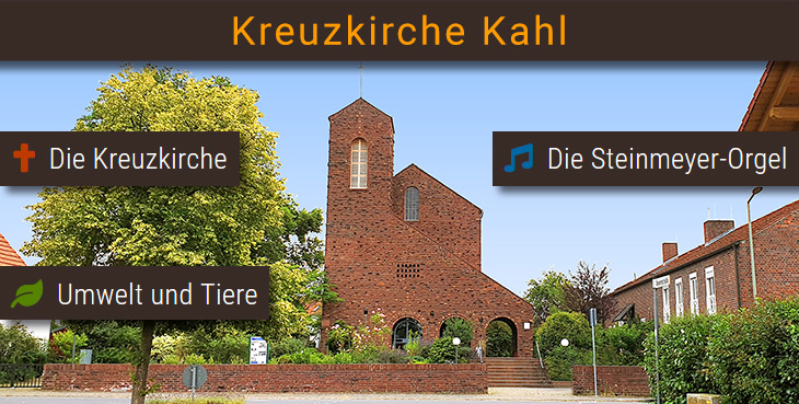 Die Kreuzkirche erleben