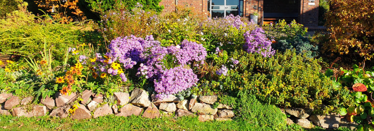 Herbstliches Blumenmeer vor der Kreuzkirche