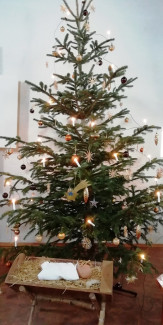 Weihnachten 202 in der Erlöserkirche