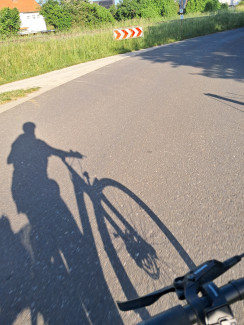 Schatten einer Radfahrerin auf der Straße